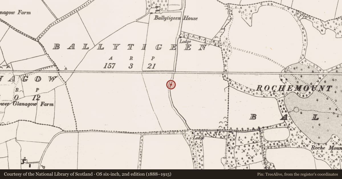 Ordnance Survey six-inch map, 2nd edition (1888–1915) covering the location of Ringfort - rath, Ballytigeen, County Cork, with a pin at the register's coordinates