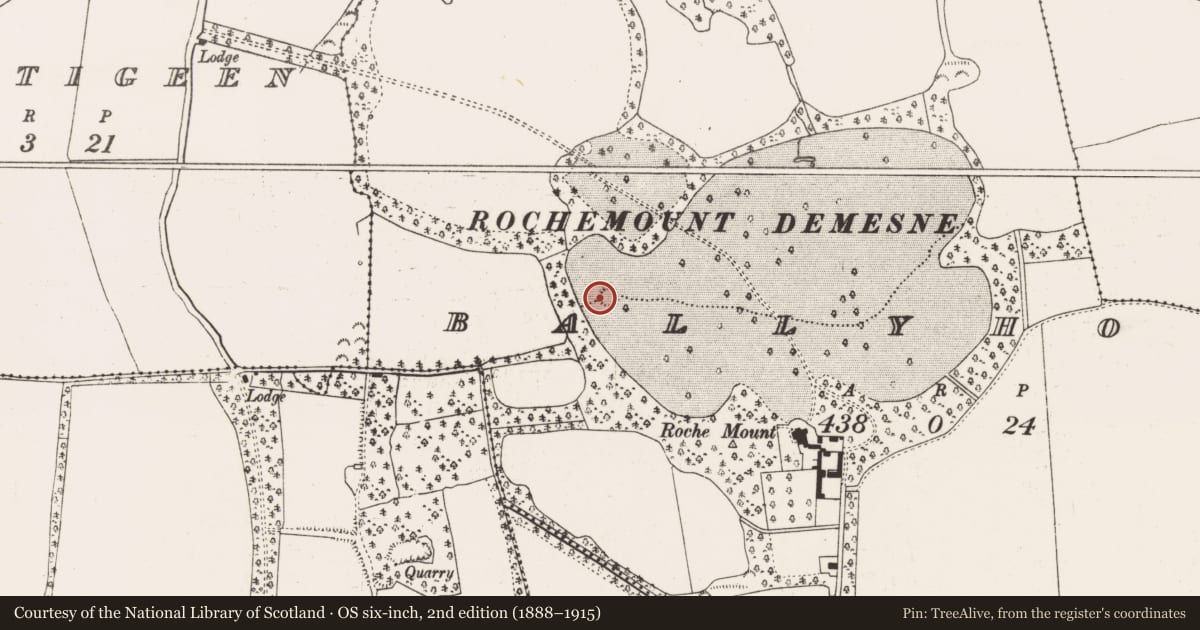Ordnance Survey six-inch map, 2nd edition (1888–1915) covering the location of Ringfort - rath, Ballyhook, County Cork, with a pin at the register's coordinates