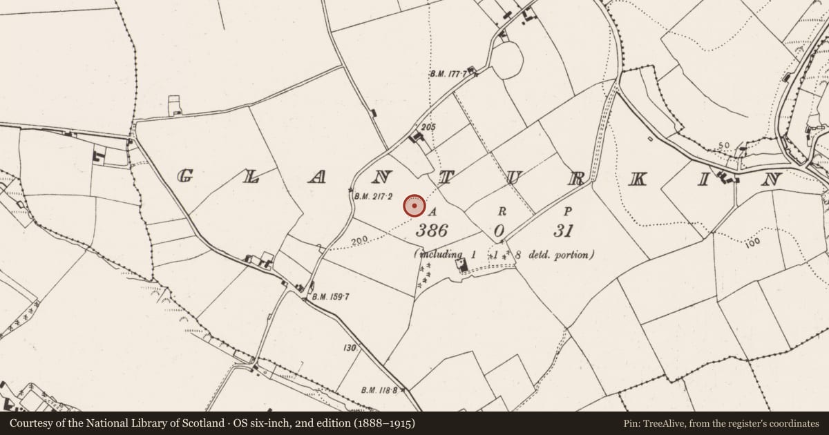 Ordnance Survey six-inch map, 2nd edition (1888–1915) covering the location of Ringfort - rath, Glanturkin, County Cork, with a pin at the register's coordinates