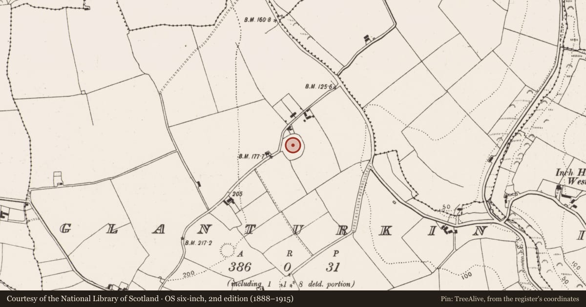 Ordnance Survey six-inch map, 2nd edition (1888–1915) covering the location of Ringfort - rath, Glanturkin, County Cork, with a pin at the register's coordinates