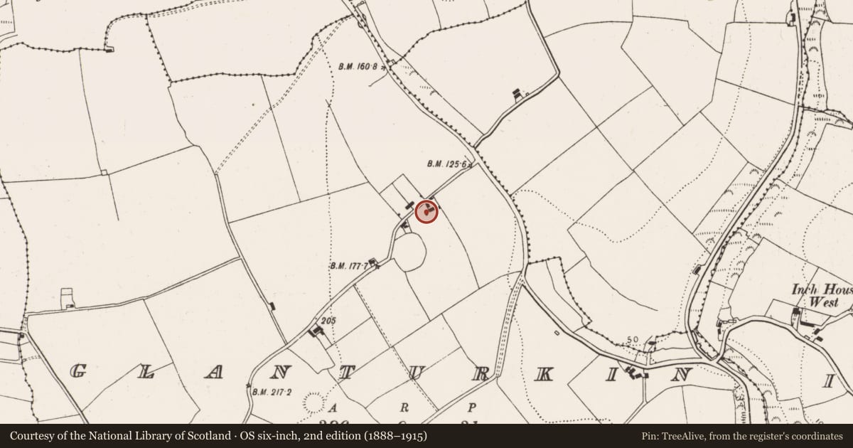 Ordnance Survey six-inch map, 2nd edition (1888–1915) covering the location of House - vernacular house, Glanturkin, County Cork, with a pin at the register's coordinates