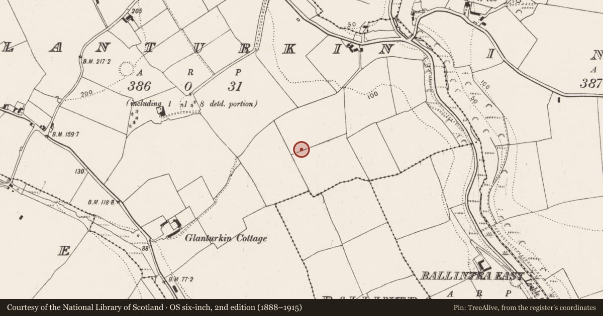 Ordnance Survey six-inch map, 2nd edition (1888–1915) covering the location of Ringfort - rath, Glanturkin, County Cork, with a pin at the register's coordinates