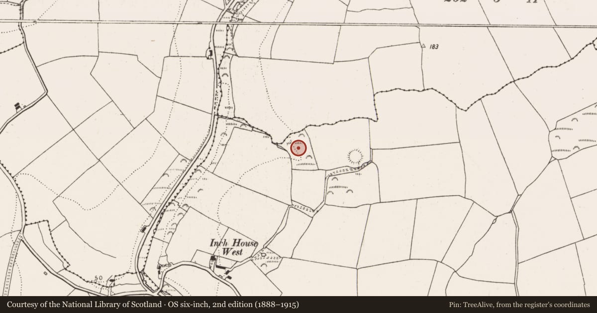 Ordnance Survey six-inch map, 2nd edition (1888–1915) covering the location of Fulacht fia, Inch, County Cork, with a pin at the register's coordinates