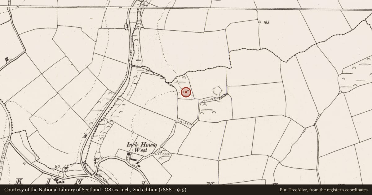 Ordnance Survey six-inch map, 2nd edition (1888–1915) covering the location of Fulacht fia, Inch, County Cork, with a pin at the register's coordinates
