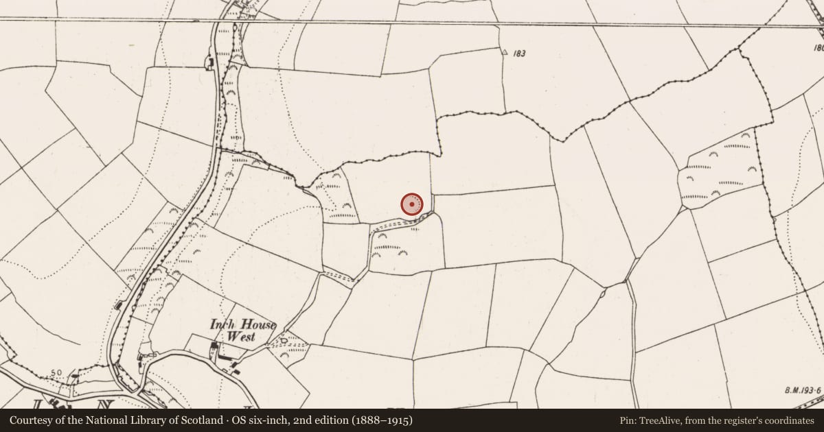 Ordnance Survey six-inch map, 2nd edition (1888–1915) covering the location of Ringfort - rath, Inch, County Cork, with a pin at the register's coordinates