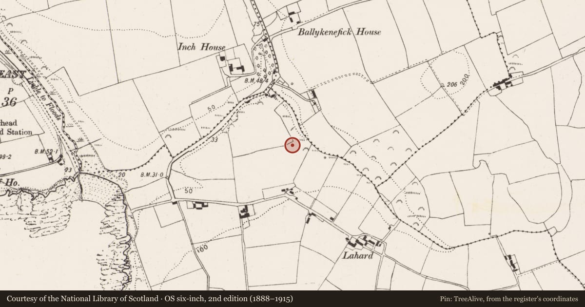 Ordnance Survey six-inch map, 2nd edition (1888–1915) covering the location of Ringfort - rath, Lahard, County Cork, with a pin at the register's coordinates
