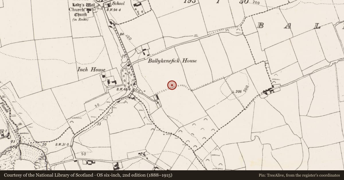 Ordnance Survey six-inch map, 2nd edition (1888–1915) covering the location of Enclosure, Ballykenefick, County Cork, with a pin at the register's coordinates