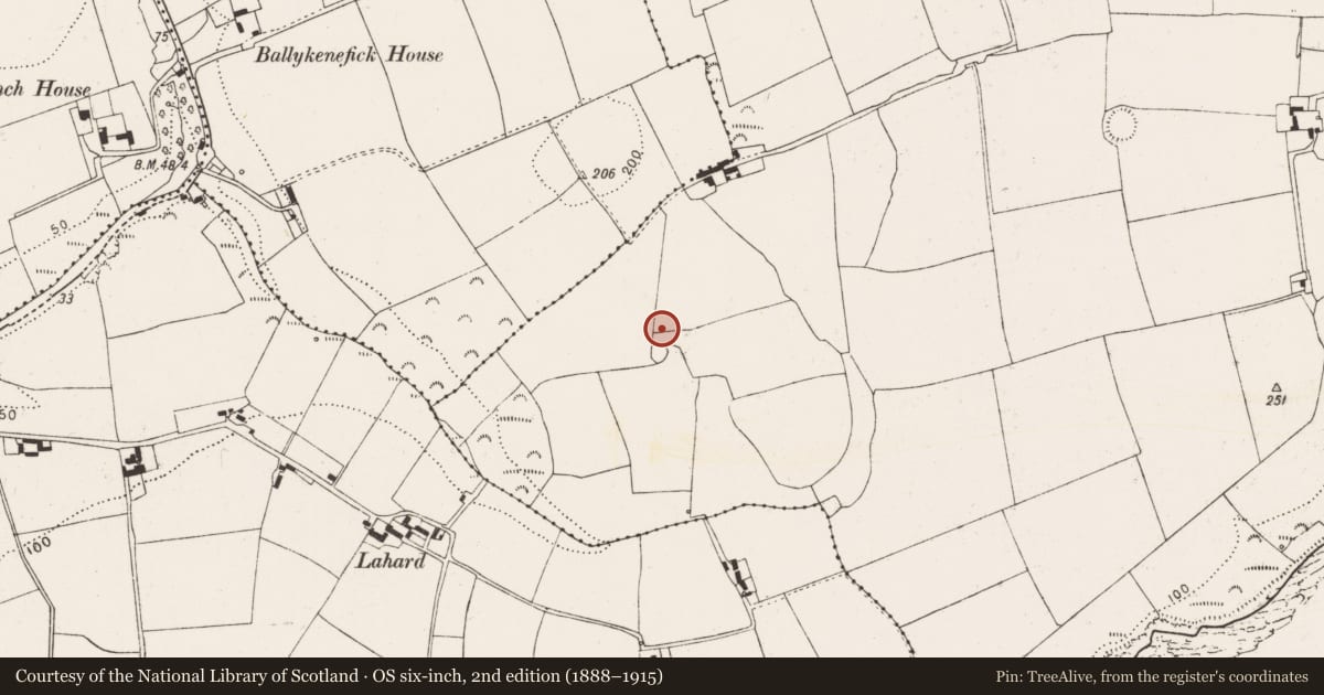 Ordnance Survey six-inch map, 2nd edition (1888–1915) covering the location of Ringfort - rath, Ballyshane, County Cork, with a pin at the register's coordinates