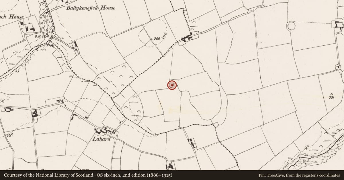 Ordnance Survey six-inch map, 2nd edition (1888–1915) covering the location of Ringfort - rath, Ballyshane, County Cork, with a pin at the register's coordinates
