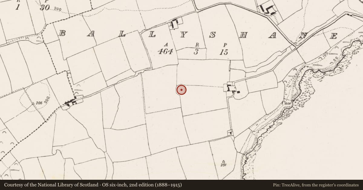 Ordnance Survey six-inch map, 2nd edition (1888–1915) covering the location of Ringfort - rath, Ballyshane, County Cork, with a pin at the register's coordinates