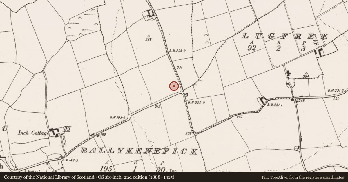 Ordnance Survey six-inch map, 2nd edition (1888–1915) covering the location of Ringfort - rath, Ballykenefick, County Cork, with a pin at the register's coordinates