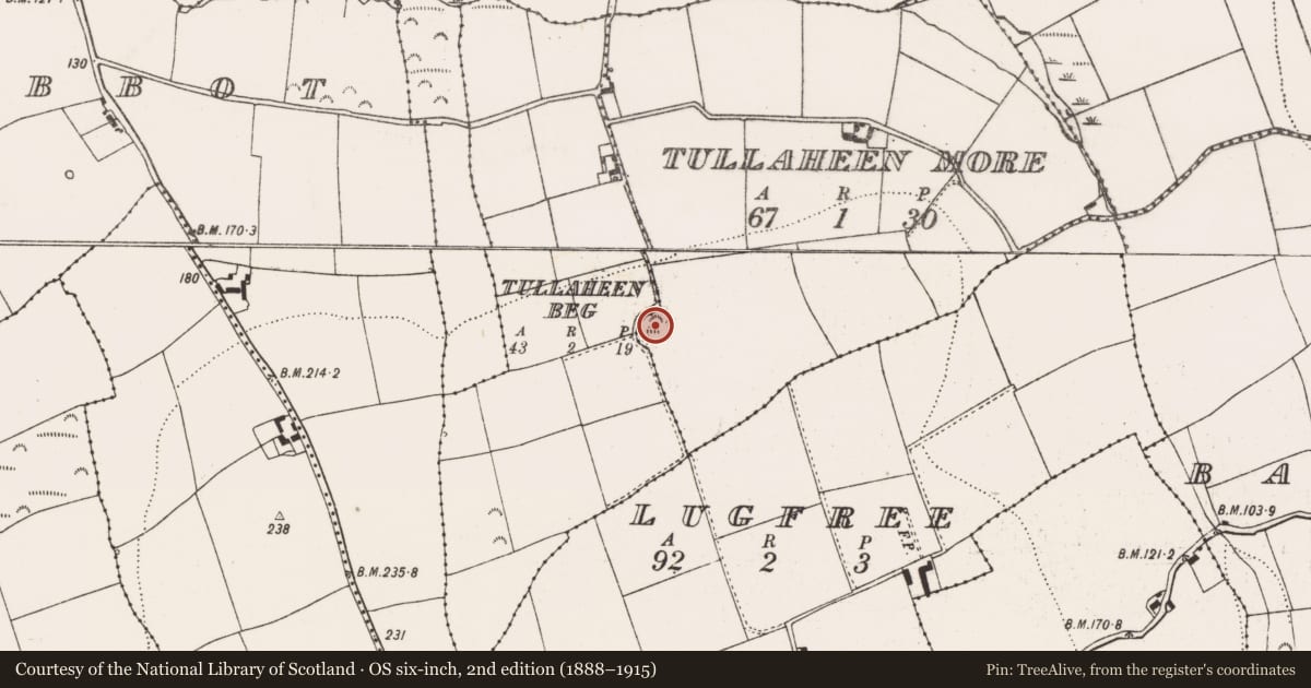 Ordnance Survey six-inch map, 2nd edition (1888–1915) covering the location of Moated site, Tullaheen More, County Cork, with a pin at the register's coordinates