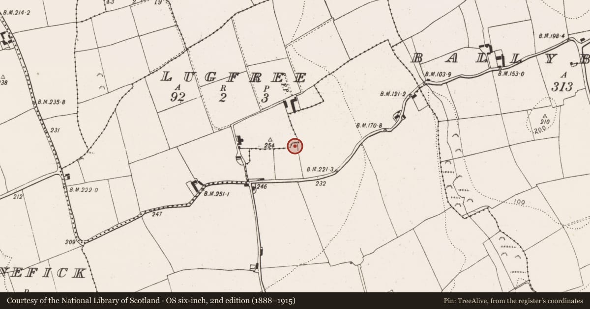 Ordnance Survey six-inch map, 2nd edition (1888–1915) covering the location of Ringfort - rath, Ballyshane, County Cork, with a pin at the register's coordinates