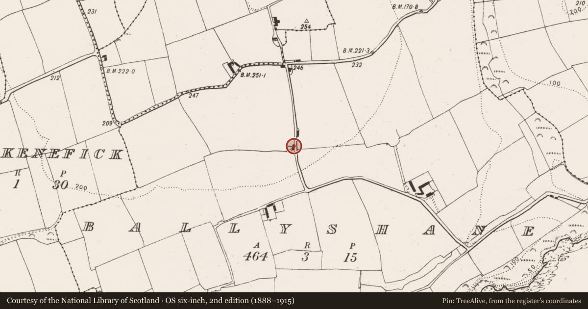 Ordnance Survey six-inch map, 2nd edition (1888–1915) covering the location of House - vernacular house, Ballyshane, County Cork, with a pin at the register's coordinates