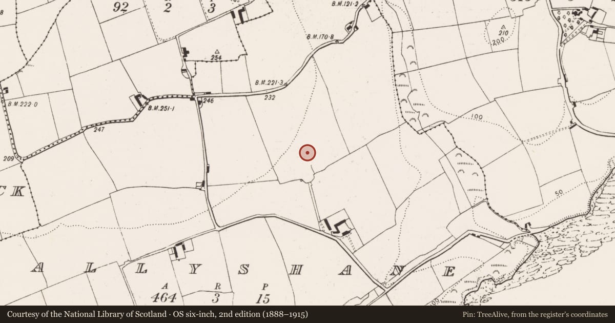 Ordnance Survey six-inch map, 2nd edition (1888–1915) covering the location of Enclosure, Ballyshane, County Cork, with a pin at the register's coordinates