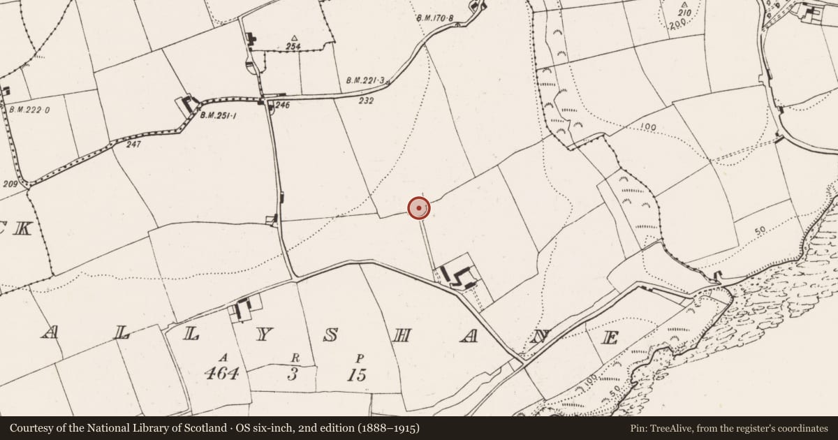 Ordnance Survey six-inch map, 2nd edition (1888–1915) covering the location of Ringfort - rath, Ballyshane, County Cork, with a pin at the register's coordinates