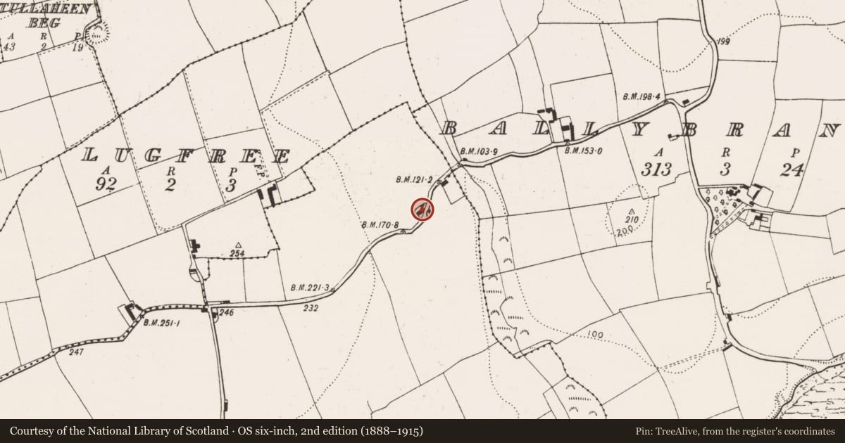 Ordnance Survey six-inch map, 2nd edition (1888–1915) covering the location of House - vernacular house, Ballyshane, County Cork, with a pin at the register's coordinates