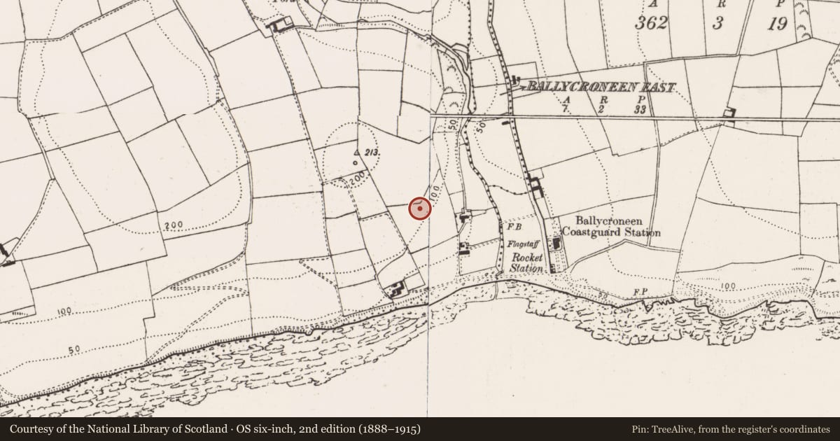 Ordnance Survey six-inch map, 2nd edition (1888–1915) covering the location of Prehistoric site - lithic scatter, Ballycroneen West, County Cork, with a pin at the register's coordinates