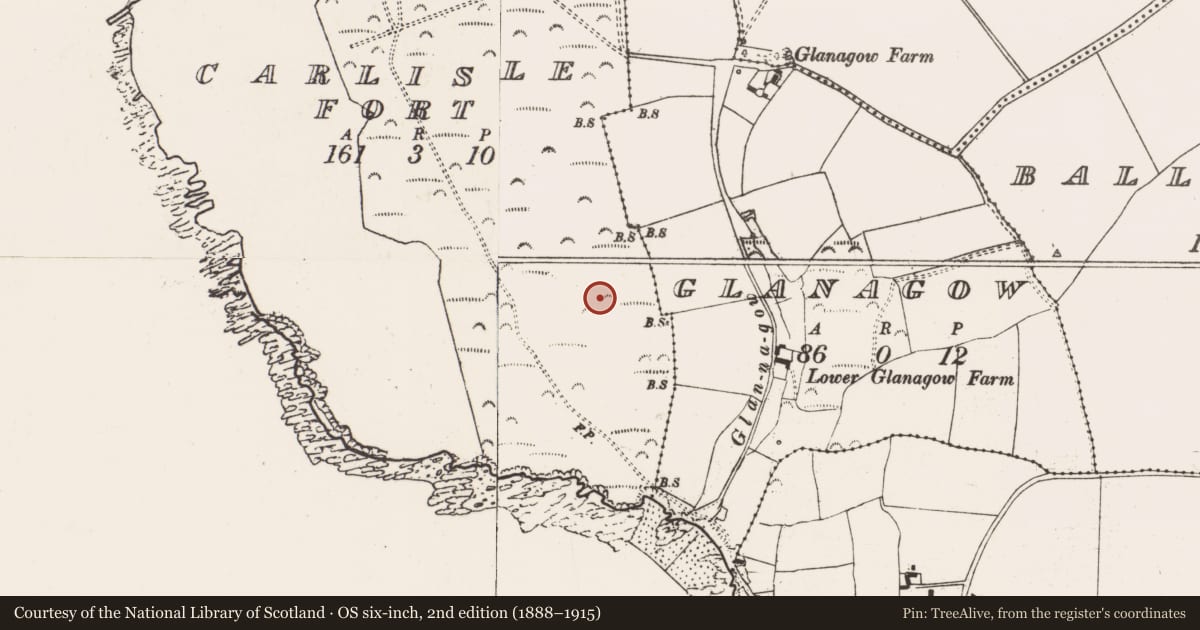 Ordnance Survey six-inch map, 2nd edition (1888–1915) covering the location of Ringfort - rath, Carlislefort, County Cork, with a pin at the register's coordinates