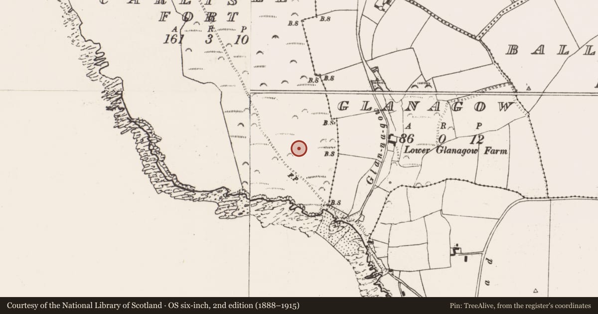 Ordnance Survey six-inch map, 2nd edition (1888–1915) covering the location of Ringfort - rath, Carlislefort, County Cork, with a pin at the register's coordinates