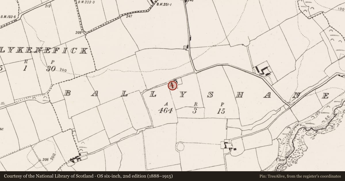 Ordnance Survey six-inch map, 2nd edition (1888–1915) covering the location of House - vernacular house, Ballyshane, County Cork, with a pin at the register's coordinates