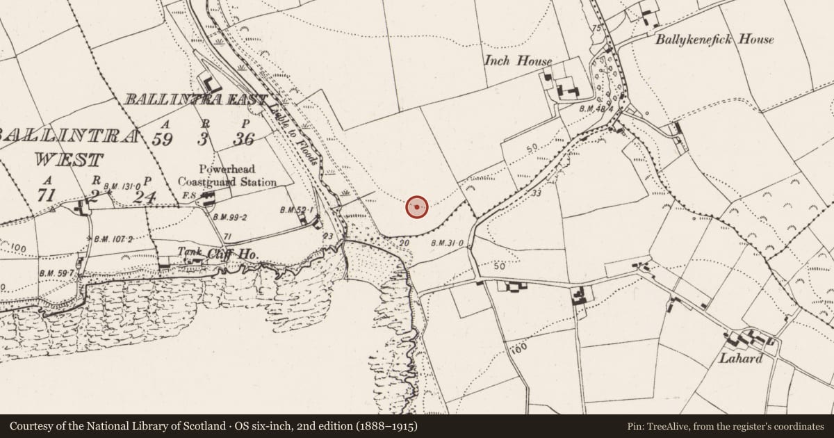 Ordnance Survey six-inch map, 2nd edition (1888–1915) covering the location of Prehistoric site - lithic scatter, Inch, County Cork, with a pin at the register's coordinates