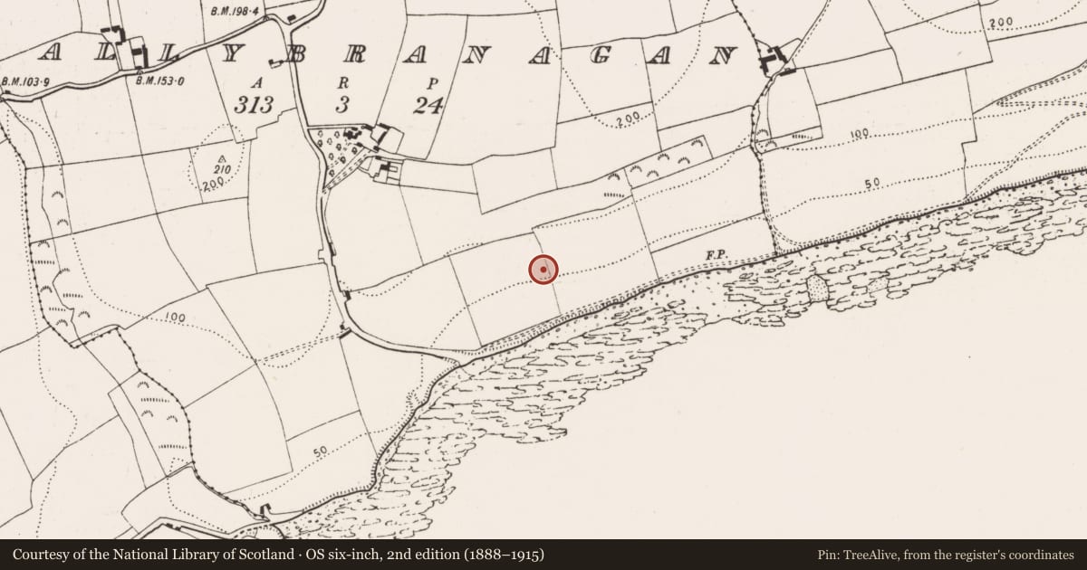Ordnance Survey six-inch map, 2nd edition (1888–1915) covering the location of Prehistoric site - lithic scatter, Ballybranagan, County Cork, with a pin at the register's coordinates