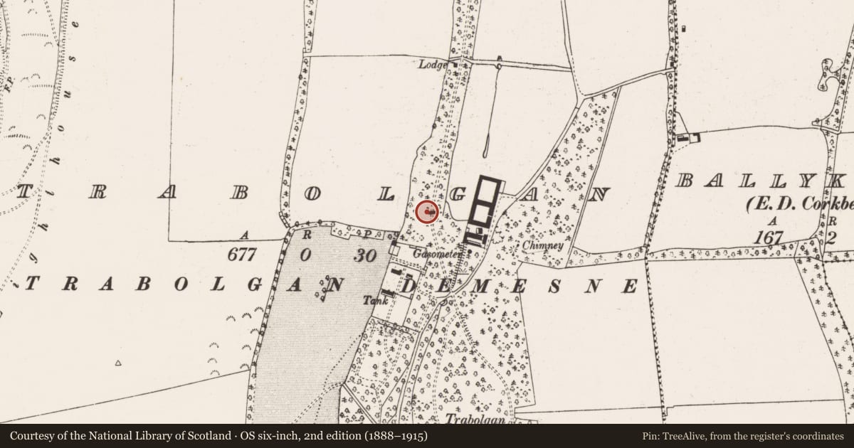 Ordnance Survey six-inch map, 2nd edition (1888–1915) covering the location of Designed landscape feature, Trabolgan, County Cork, with a pin at the register's coordinates