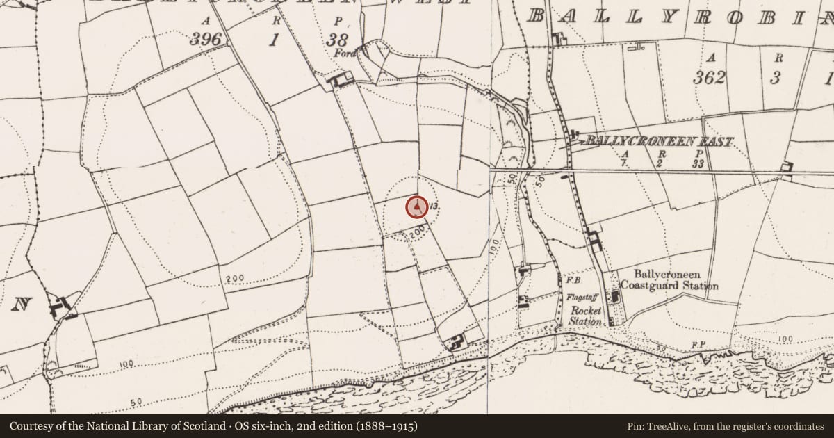 Ordnance Survey six-inch map, 2nd edition (1888–1915) covering the location of Standing stone, Ballycroneen West, County Cork, with a pin at the register's coordinates