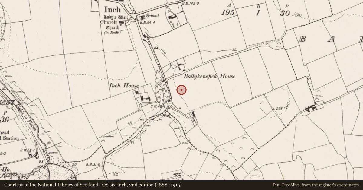 Ordnance Survey six-inch map, 2nd edition (1888–1915) covering the location of Prehistoric site - lithic scatter, Ballykenefick, County Cork, with a pin at the register's coordinates