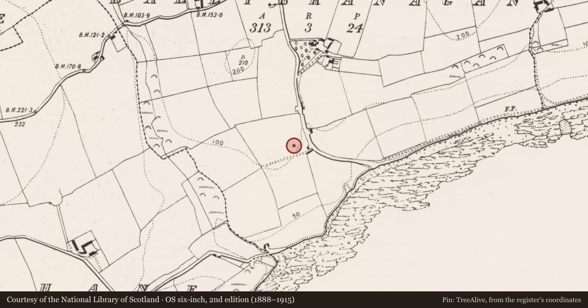 Ordnance Survey six-inch map, 2nd edition (1888–1915) covering the location of Enclosure, Ballybranagan, County Cork, with a pin at the register's coordinates