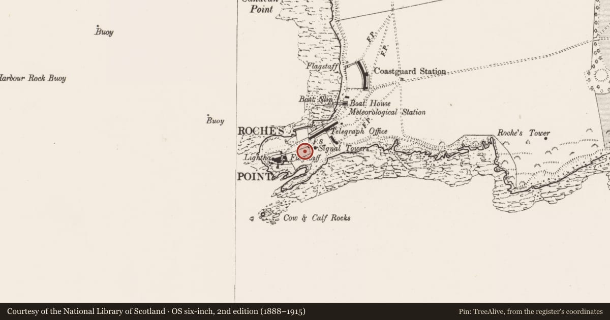 Ordnance Survey six-inch map, 2nd edition (1888–1915) covering the location of Promontory fort - coastal, Trabolgan, County Cork, with a pin at the register's coordinates