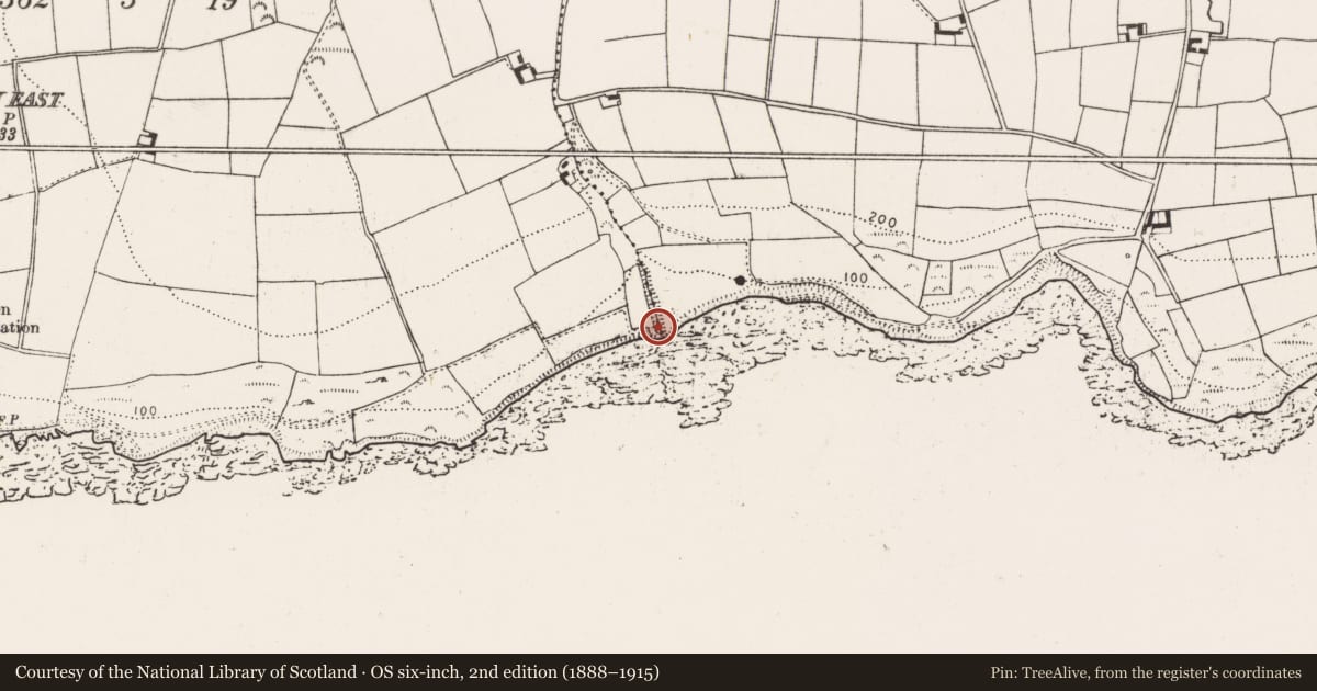 Ordnance Survey six-inch map, 2nd edition (1888–1915) covering the location of Promontory fort - coastal, Ballyrobin South, County Cork, with a pin at the register's coordinates