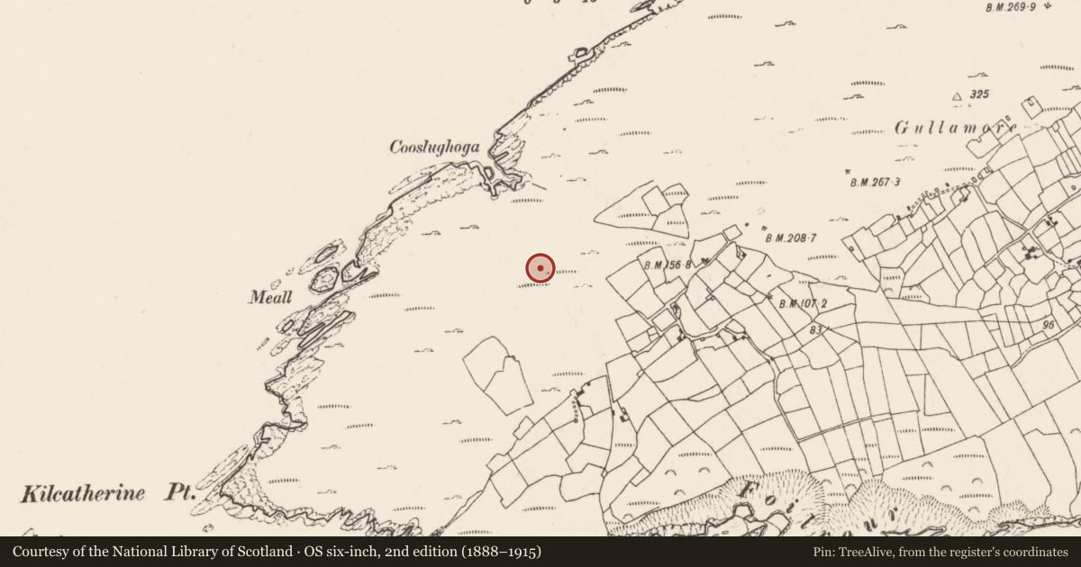 Ordnance Survey six-inch map, 2nd edition (1888–1915) covering the location of Megalithic tomb - wedge tomb, Kilcatherine, County Cork, with a pin at the register's coordinates