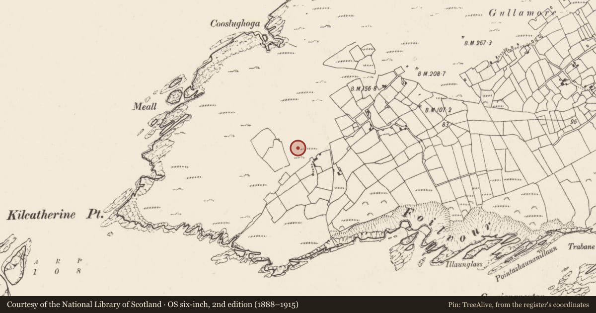 Ordnance Survey six-inch map, 2nd edition (1888–1915) covering the location of Mound, Kilcatherine, County Cork, with a pin at the register's coordinates