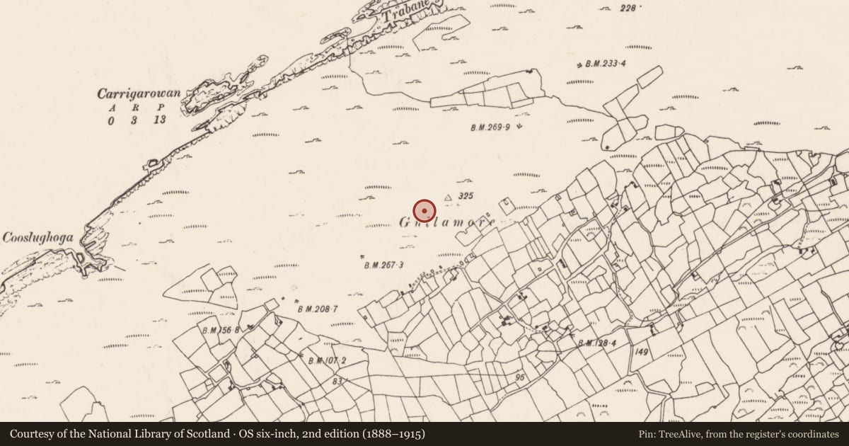 Ordnance Survey six-inch map, 2nd edition (1888–1915) covering the location of Standing stone, Kilcatherine, County Cork, with a pin at the register's coordinates