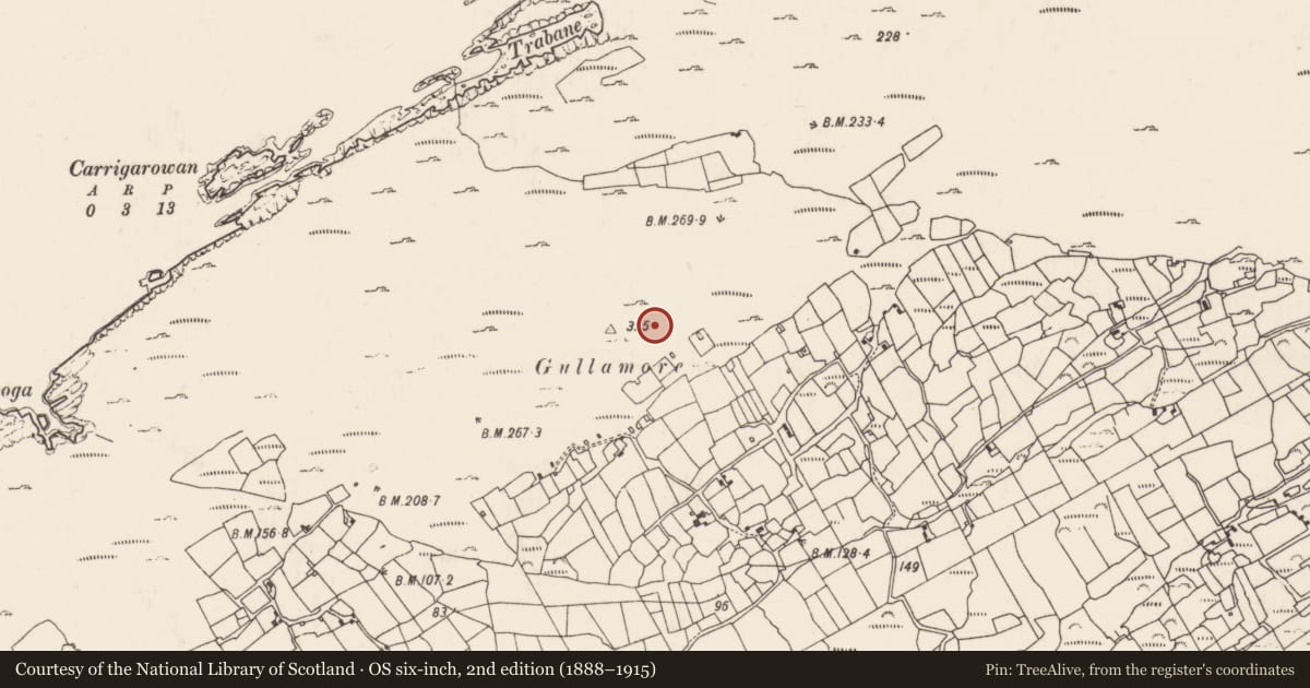 Ordnance Survey six-inch map, 2nd edition (1888–1915) covering the location of Standing stone, Kilcatherine, County Cork, with a pin at the register's coordinates