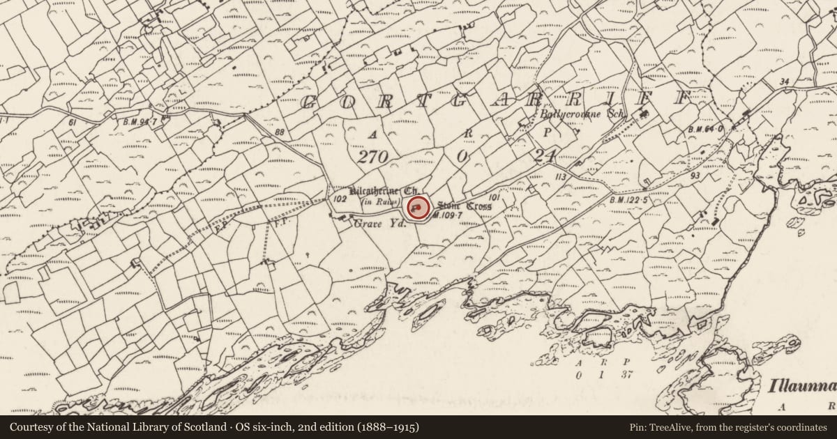 Ordnance Survey six-inch map, 2nd edition (1888–1915) covering the location of Graveyard, Gortgarriff, County Cork, with a pin at the register's coordinates