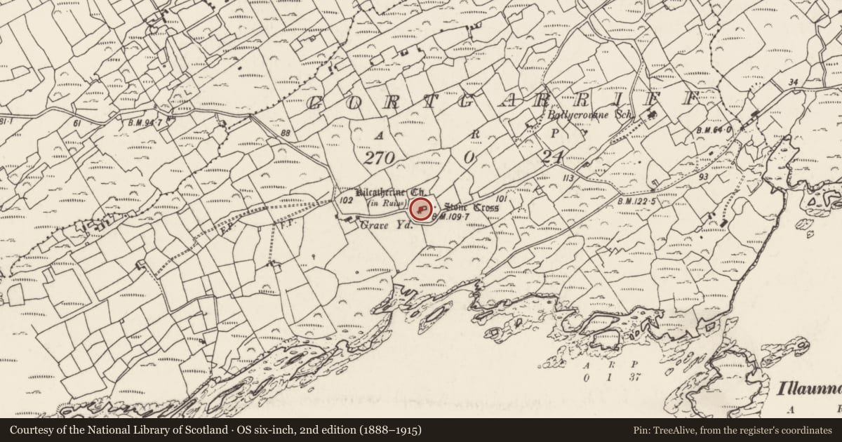 Ordnance Survey six-inch map, 2nd edition (1888–1915) covering the location of Church, Gortgarriff, County Cork, with a pin at the register's coordinates