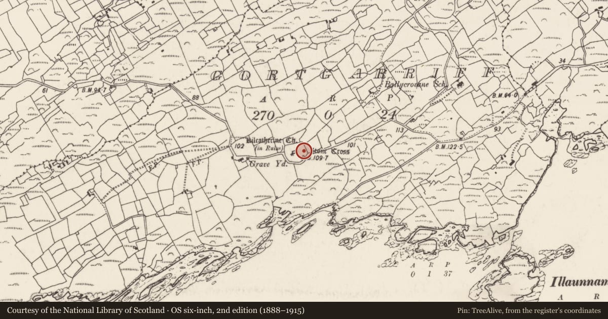 Ordnance Survey six-inch map, 2nd edition (1888–1915) covering the location of Cross, Gortgarriff, County Cork, with a pin at the register's coordinates