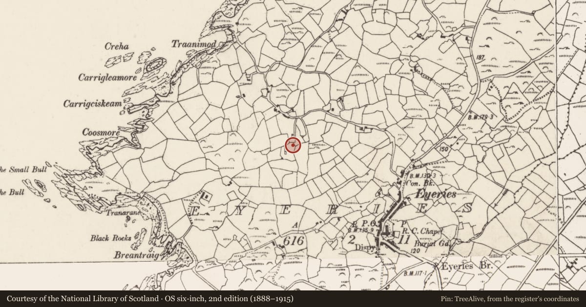 Ordnance Survey six-inch map, 2nd edition (1888–1915) covering the location of Stone sculpture - iconic, Eyeries, County Cork, with a pin at the register's coordinates