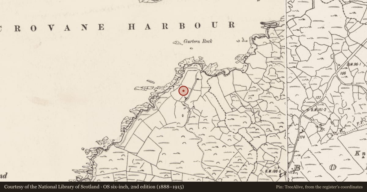 Ordnance Survey six-inch map, 2nd edition (1888–1915) covering the location of Standing stone - pair, Eyeries, County Cork, with a pin at the register's coordinates