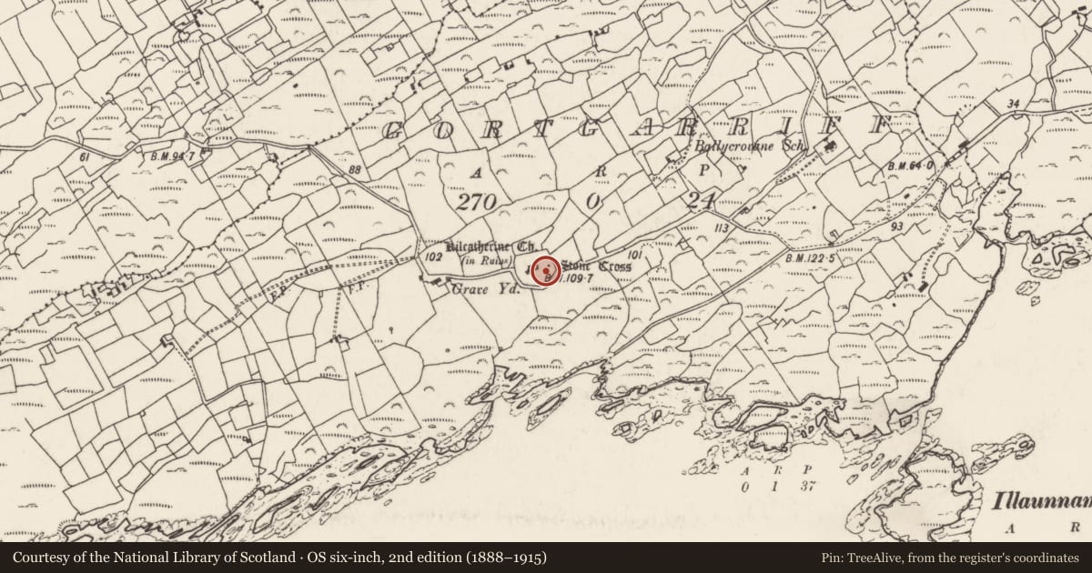 Ordnance Survey six-inch map, 2nd edition (1888–1915) covering the location of Souterrain, Gortgarriff, County Cork, with a pin at the register's coordinates