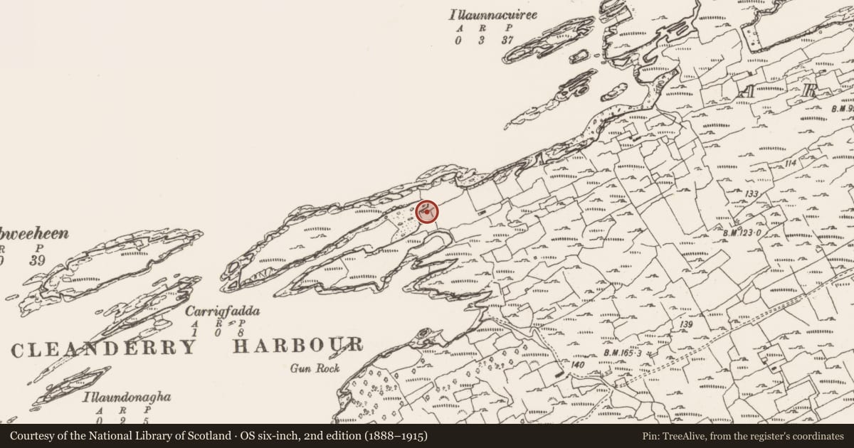 Ordnance Survey six-inch map, 2nd edition (1888–1915) covering the location of Fish palace, Ardgroom Inward, County Cork, with a pin at the register's coordinates