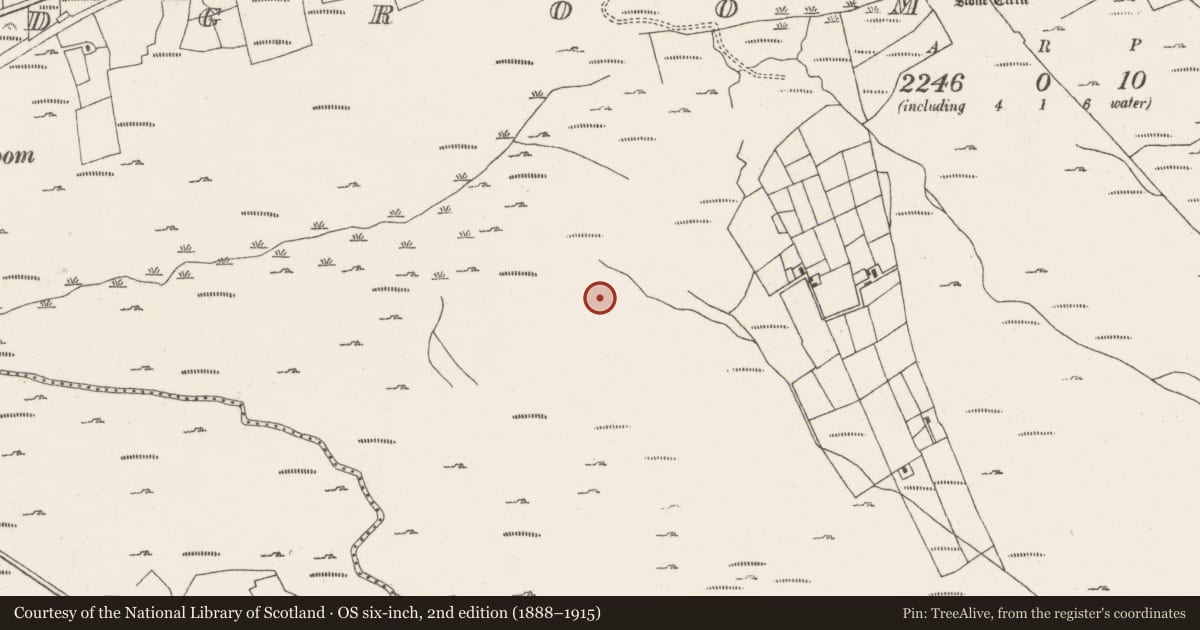 Ordnance Survey six-inch map, 2nd edition (1888–1915) covering the location of Cairn - unclassified, Ardgroom Outward, County Cork, with a pin at the register's coordinates