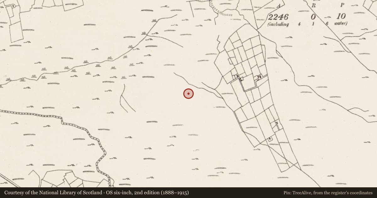 Ordnance Survey six-inch map, 2nd edition (1888–1915) covering the location of Standing stone - pair, Ardgroom Outward, County Cork, with a pin at the register's coordinates