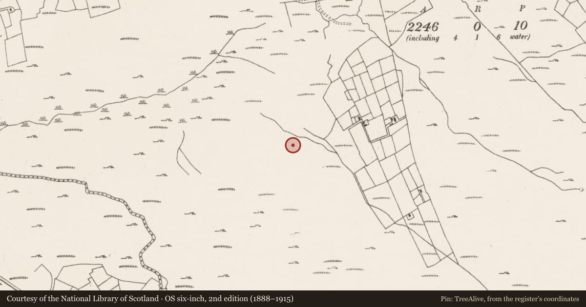 Ordnance Survey six-inch map, 2nd edition (1888–1915) covering the location of Cairn - unclassified, Ardgroom Outward, County Cork, with a pin at the register's coordinates