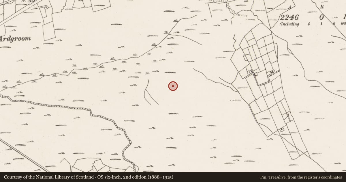 Ordnance Survey six-inch map, 2nd edition (1888–1915) covering the location of Field boundary, Ardgroom Outward, County Cork, with a pin at the register's coordinates