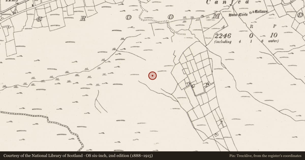 Ordnance Survey six-inch map, 2nd edition (1888–1915) covering the location of Burnt mound, Ardgroom Outward, County Cork, with a pin at the register's coordinates