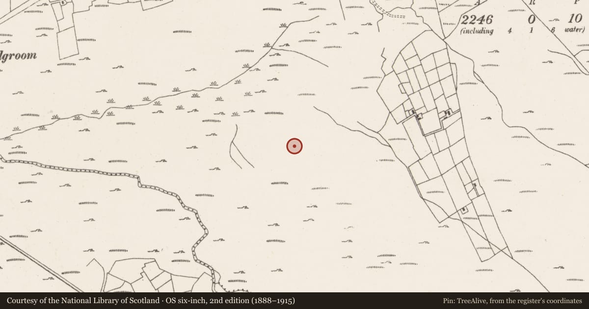 Ordnance Survey six-inch map, 2nd edition (1888–1915) covering the location of Burnt mound, Ardgroom Outward, County Cork, with a pin at the register's coordinates